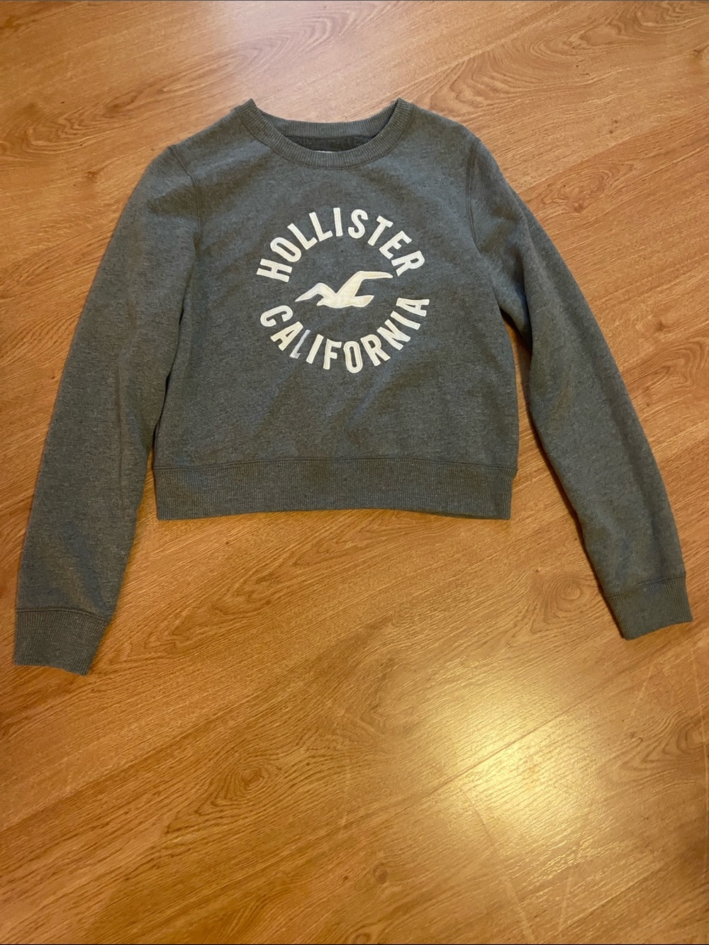 Hollister Dark Gray Cropped Logo Crewneck Sweatshirt
